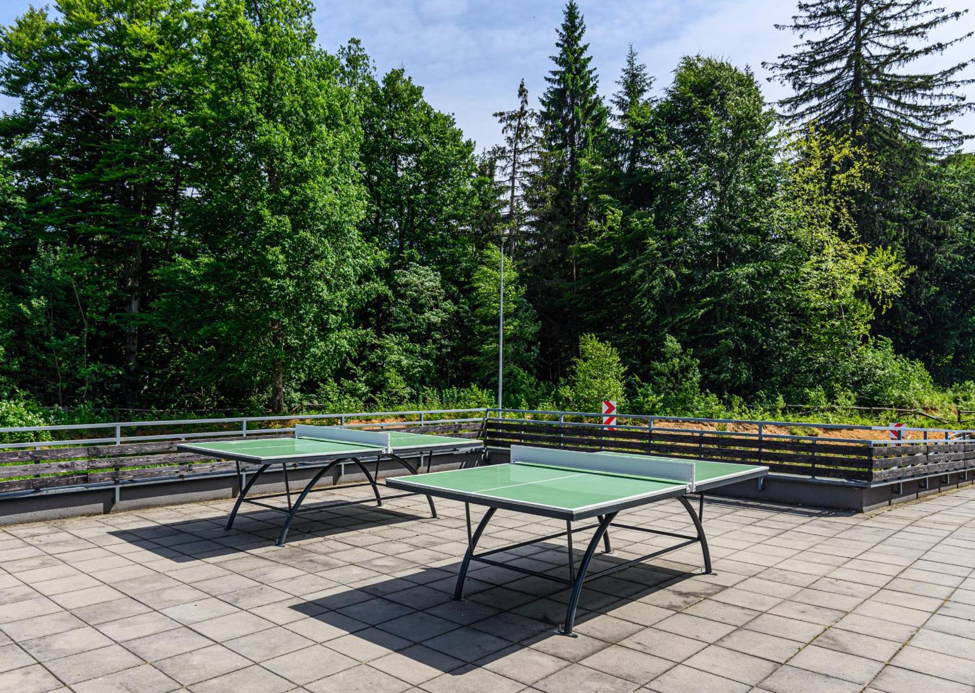 Apartment "Mountain Relax" Poiana Brasov Εξωτερικό φωτογραφία