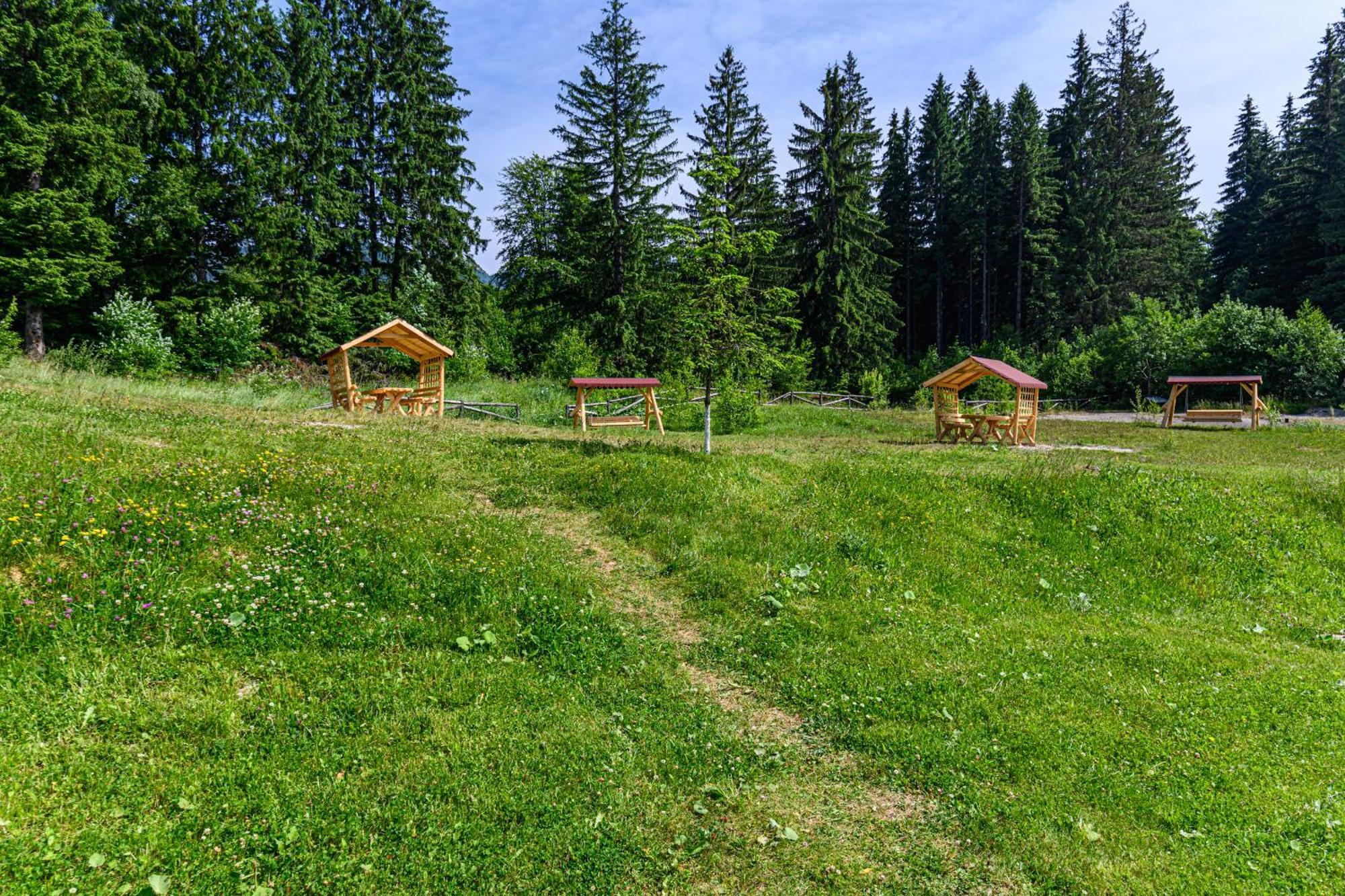 Apartment "Mountain Relax" Poiana Brasov Εξωτερικό φωτογραφία